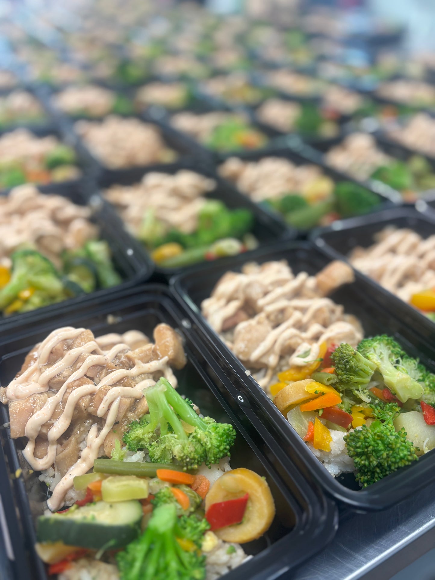 Hibachi Chicken with Fried Rice and Veggies